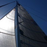 grand-voile-et-foc
